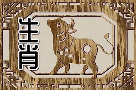 1985年是什么生肖|85年属什么的生肖 1985年属什么生肖多大